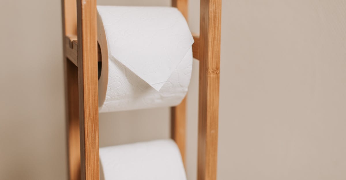 Wooden rack holding two toilet paper rolls in a minimalistic bathroom setting.